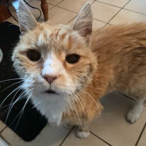 Meet your Posher, Kerri